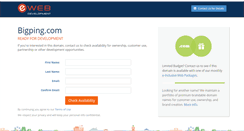 Desktop Screenshot of bigping.com